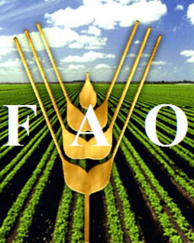 logo de la FAO:Archivo