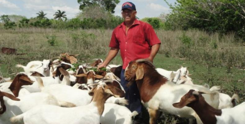 El evento tributa a la atención y inicio de un proceso recuperativo necesario de la retribución y genética animal.Foto:RReloj.