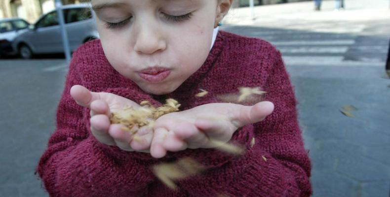 Una niña sopla polen que se desprende de los plátanos de las ciudades (Ana Jiménez - A. Jimenez) Una niña sopla polen que se desprende de los plátanos de las ciudades (Ana Jiménez - A. Jimenez)