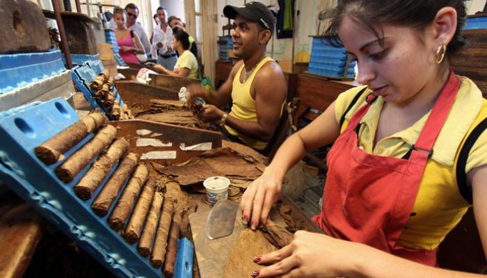 Elaboración de los puros cubanos. Foto: Archivo