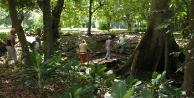 En unas 64 hectáreas, el Jardín Botánico de Sancti Spíritus atesora más de 360 especies. Foto: Radio Sancti Spíritus