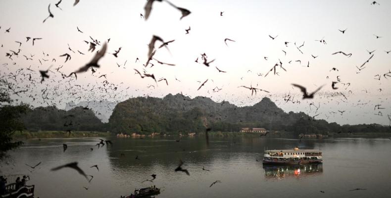Murciélagos sobrevuelan un lago cerca de la ciudad de Hpa-An, frente a la cueva Linno Gu, Birmania, el 1 de marzo de 2020Ye Aung Thu / AFP