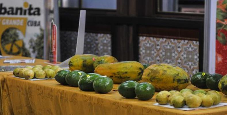 Firman en Cuba programa de seguridad alimentaria. Foto: Radio Santa Cruz.