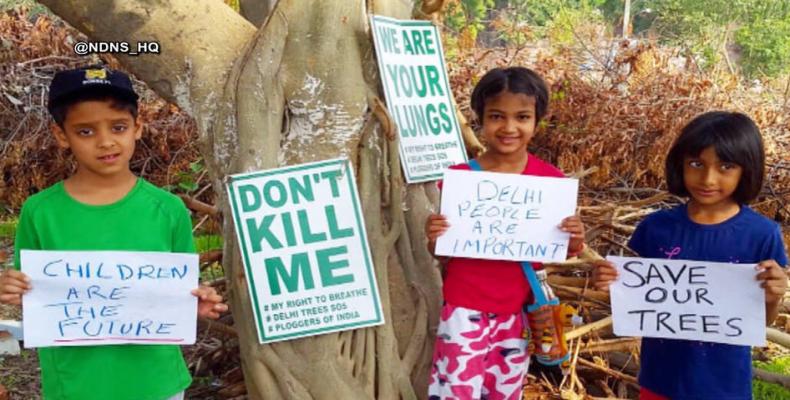  Tree planting in India.  Photo: AFP