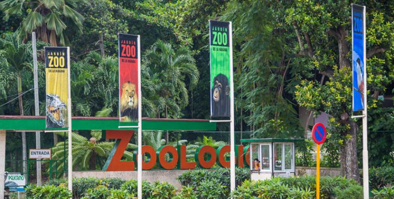 Celebran aniversario 80 del Jardín Zoológico de La Habana. Foto: Internet.