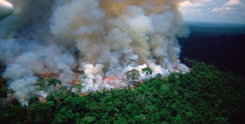 Smoke billows during a fire in an area of the Amazon rainforest near Humaita, Amazonas State, Brazil, in August 2019.  (Photo: Reuters)