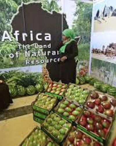 Países africanos firman acuerdo para crear zona de libre comercio. Foto: La Nación