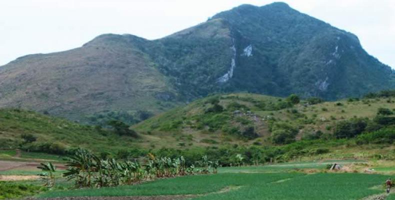 En Lomas de Banao se conservan muy bien, la selva lluviosa de montaña, y la vegetación de los mogotes donde procrean cotorras y cateyes. Fotos: Internet