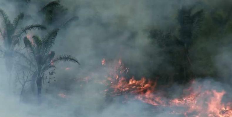 Indonesia declaró este jueves estado de emergencia ante el posible empeoramiento de incendios forestales.Foto:PL