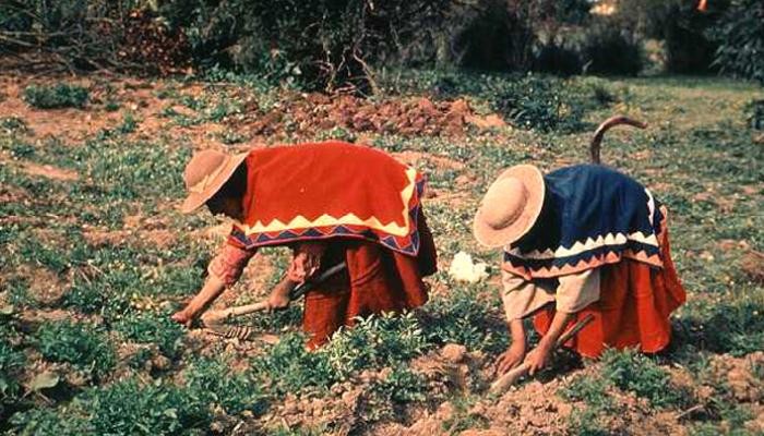 Confederación Sindical Única de Trabajadores Campesinos de Bolivia