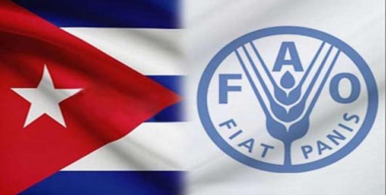 FAO destaca compromisso de Cuba com a segurança alimentar .