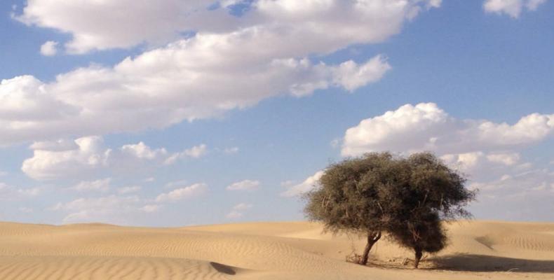 Drought in India worse in country's history.  Photo: AP