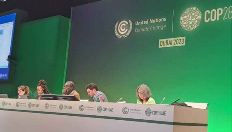 Cuba développe des activités en vue de sa participation à la COP28