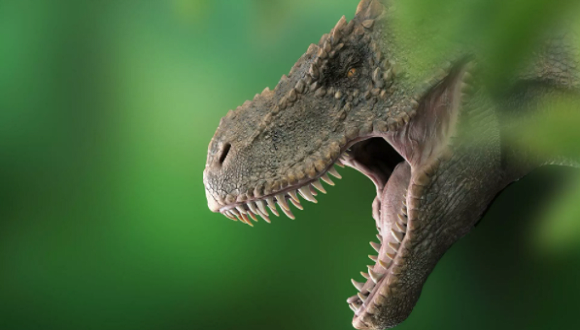 Radio Habana Cuba | Cinco descubrimientos increíbles sobre dinosaurios en  el 2021