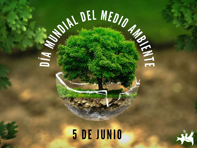 Cienfuegos accueille un meeting national à l'occasion de la Journée mondiale de l'environnement