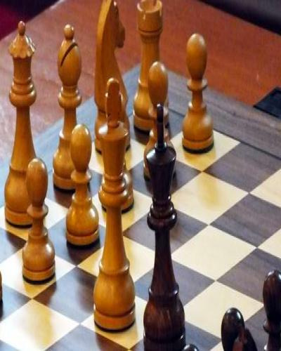 Uzbekistan and Ukraine claim the 44th Chess Olympiad – European