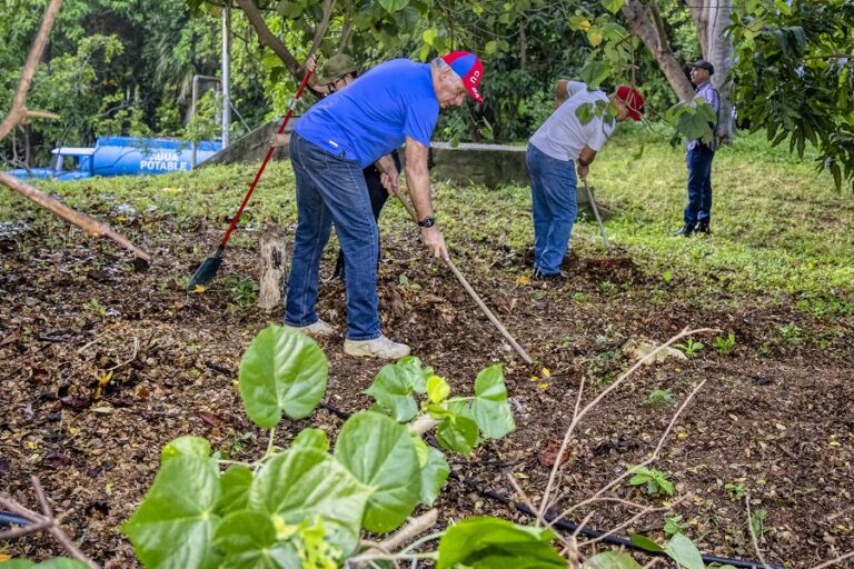 Jornada de saneamiento en La Habana 
