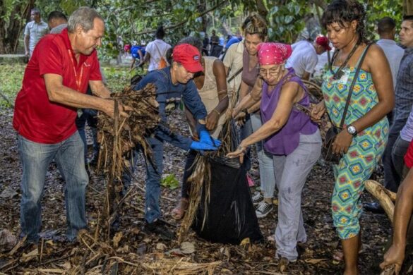 Jornada de saneamiento en La Habana