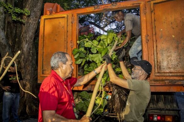 Jornada de saneamiento en La Habana