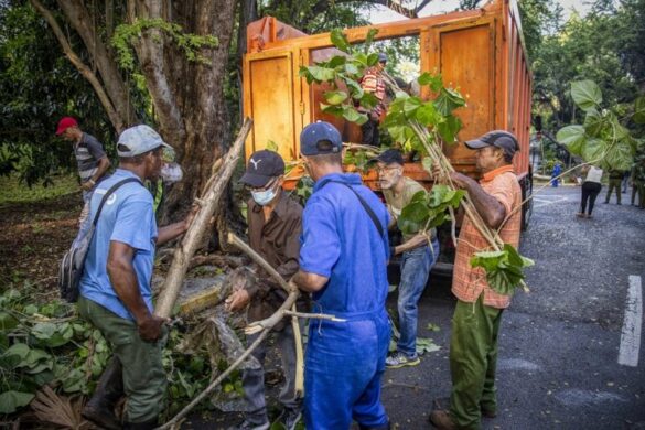 Jornada de saneamiento en La Habana