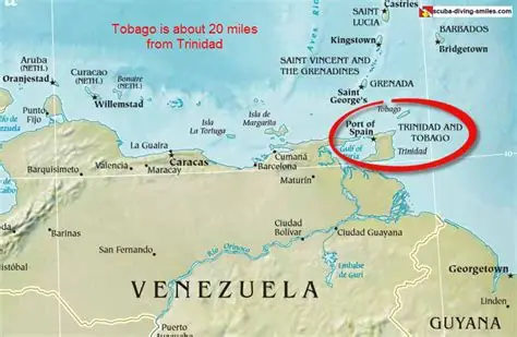 t and t map