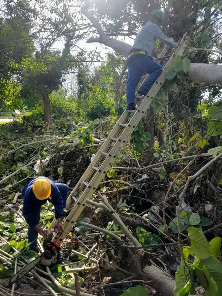 Trabajadores de Etecsa