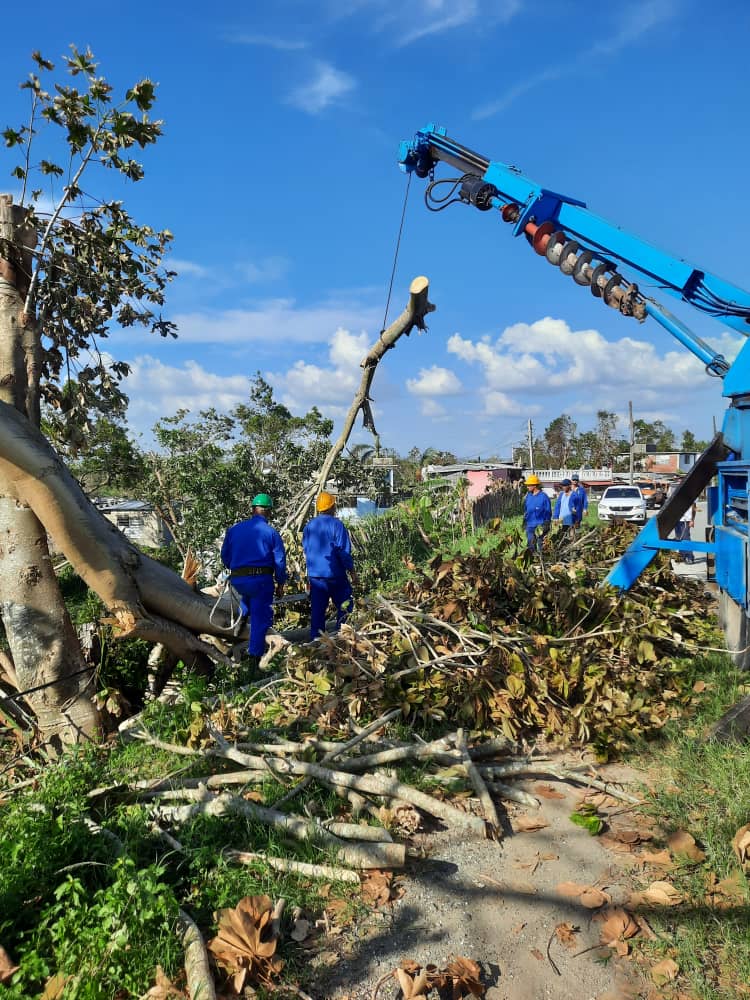 trabajadores Empresa Eléctrica