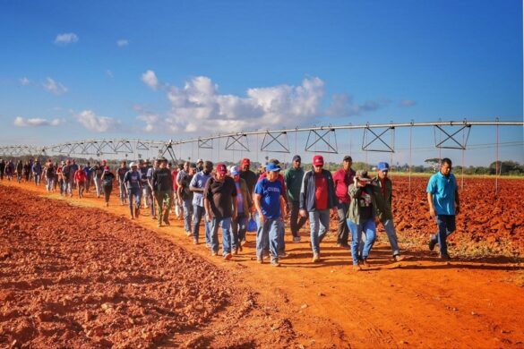 Jornada Nacional de Trabajo Voluntario