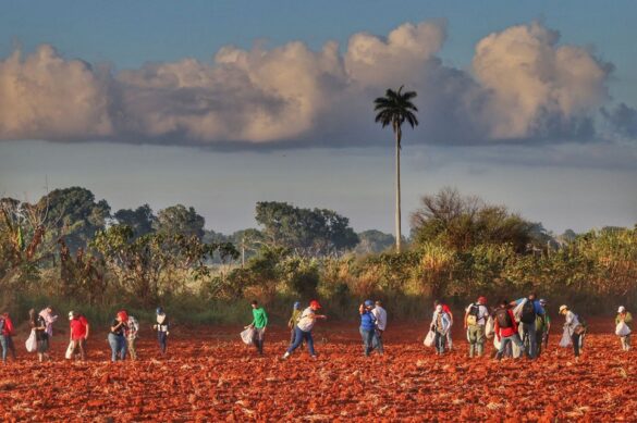 Jornada Nacional de Trabajo Voluntario