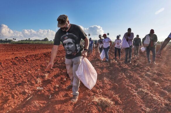 Jornada Nacional de Trabajo Voluntario