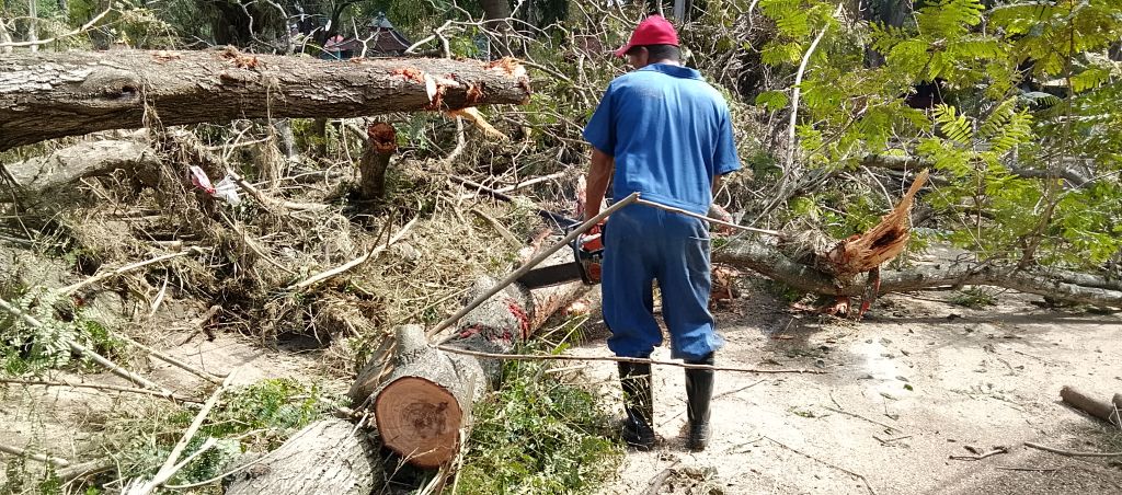 Granma, recuperación