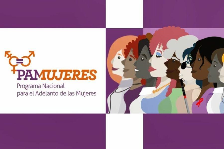 Programa Nacional para el Adelanto de la Mujer 