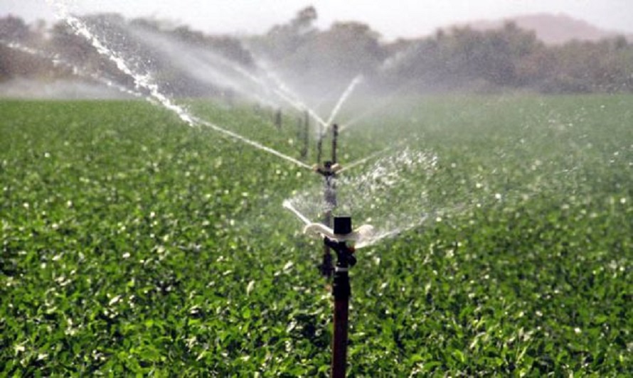 Estudio del IAgric: proyecciones de riego para el cafeto en Cuba hacia 2050