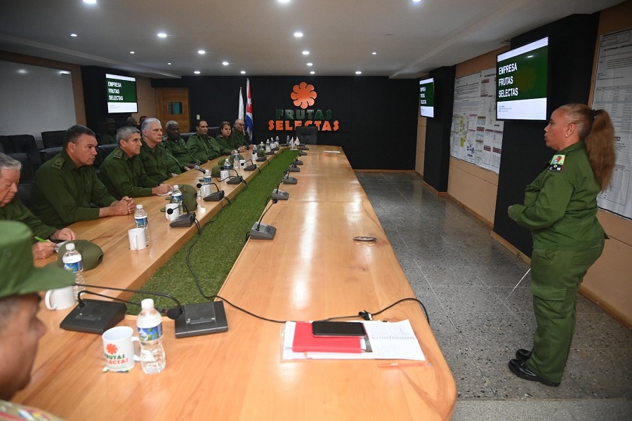 Día Nacional de la Defensa 