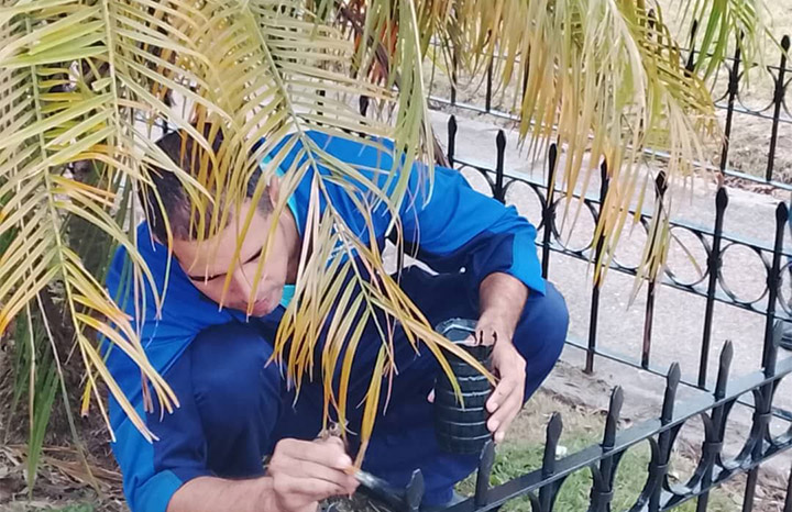 Trabajo voluntario desde el barrio