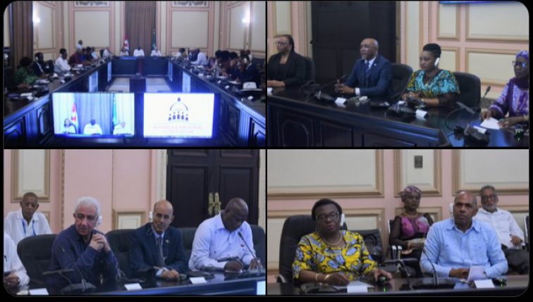 diputados africanos en la sede de la ANPP