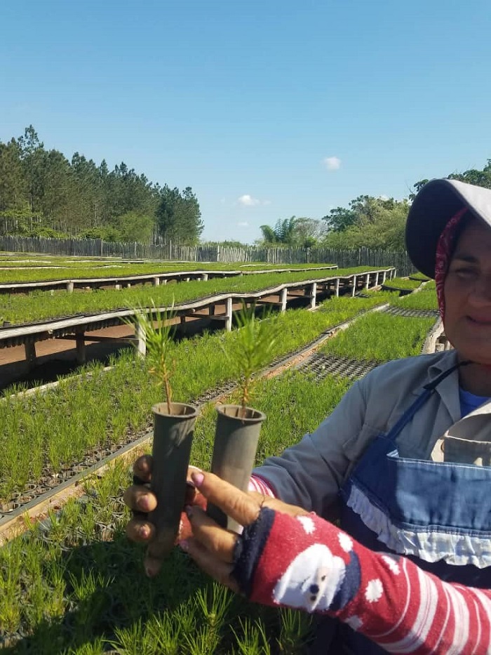 Empresa Agroforestal Villa Clara hacia la soberanía energética
