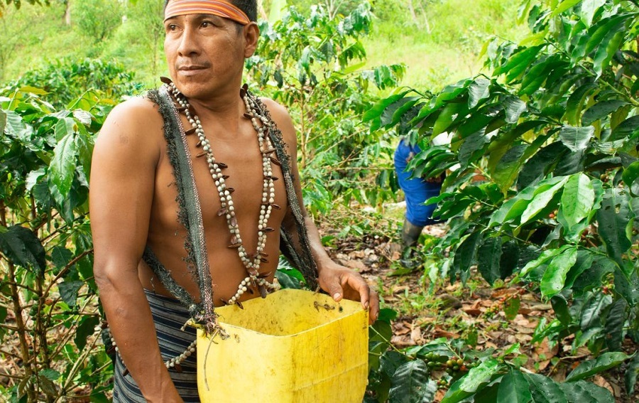 Saberes indígenas frente al cambio climático