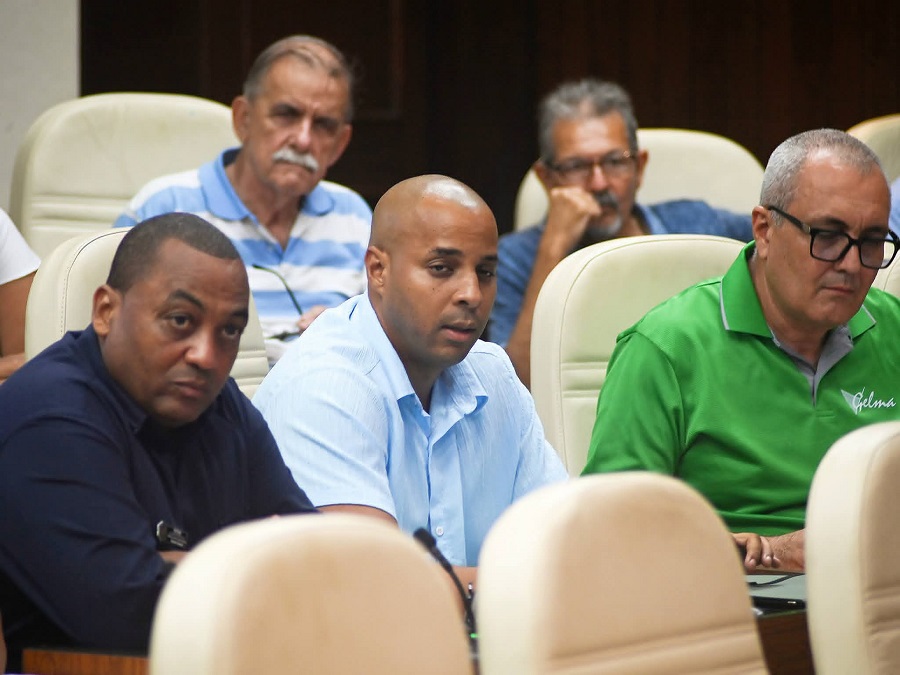Presidente cubano ratifica confianza en el sistema empresarial estatal del país