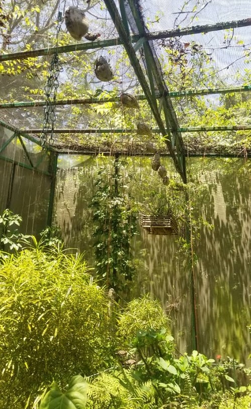 La Quinta de los Molinos mira hacia 2030