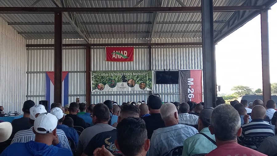 Empresa villaclareña de Acopio y Beneficio del Tabaco La Estrella, la mejor del país