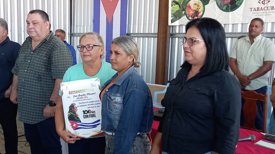 Empresa villaclareña de Acopio y Beneficio del Tabaco La Estrella, la mejor del país Empresa villaclareña de Acopio y Beneficio del Tabaco La Estrella, la mejor del país